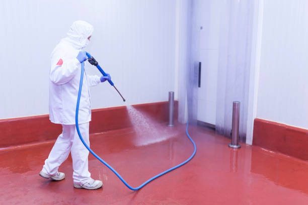 Best Roof Washing  in Beech Mountain Lakes, PA